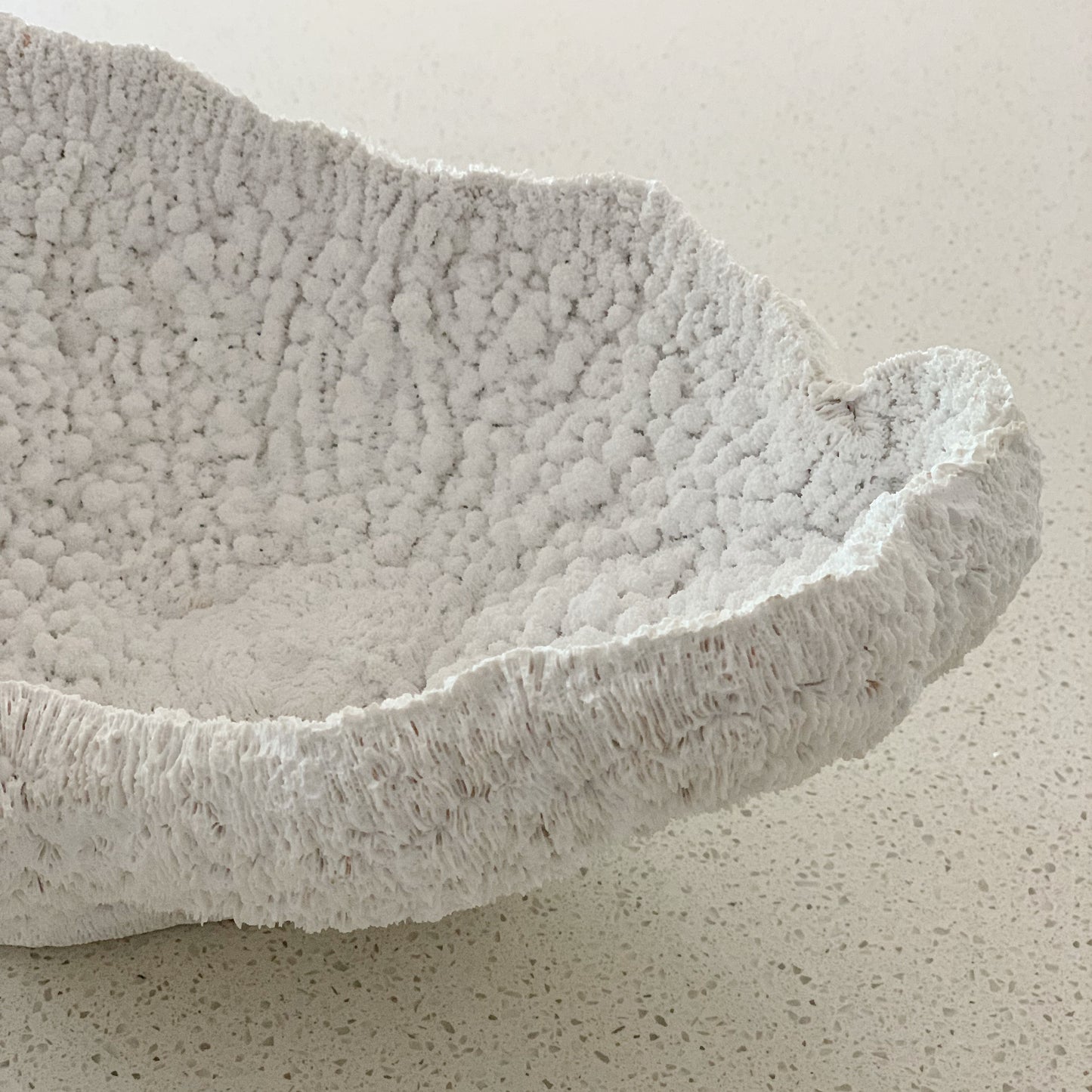 Saya Coral Bowl